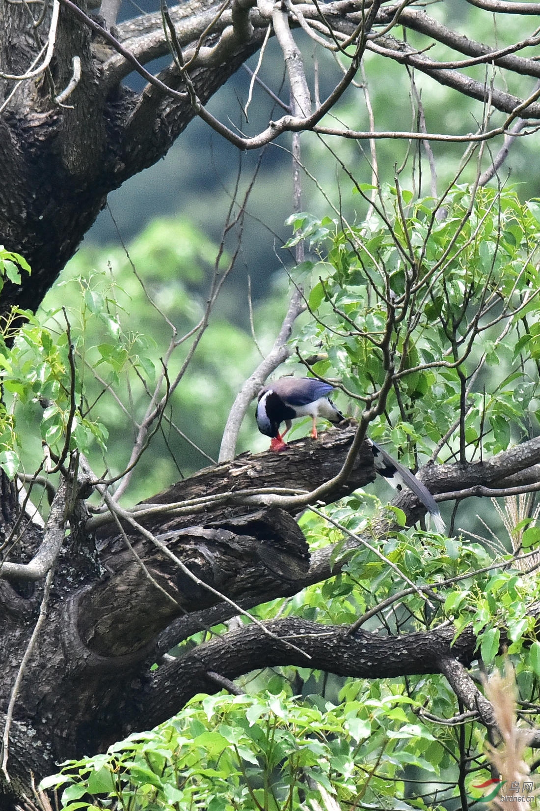 DSC_0248.JPG