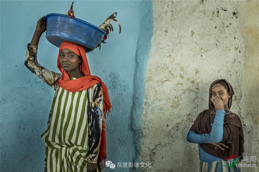 �Ҷ�Ӱ���Ա��־����Ӱʦ��Ʒ