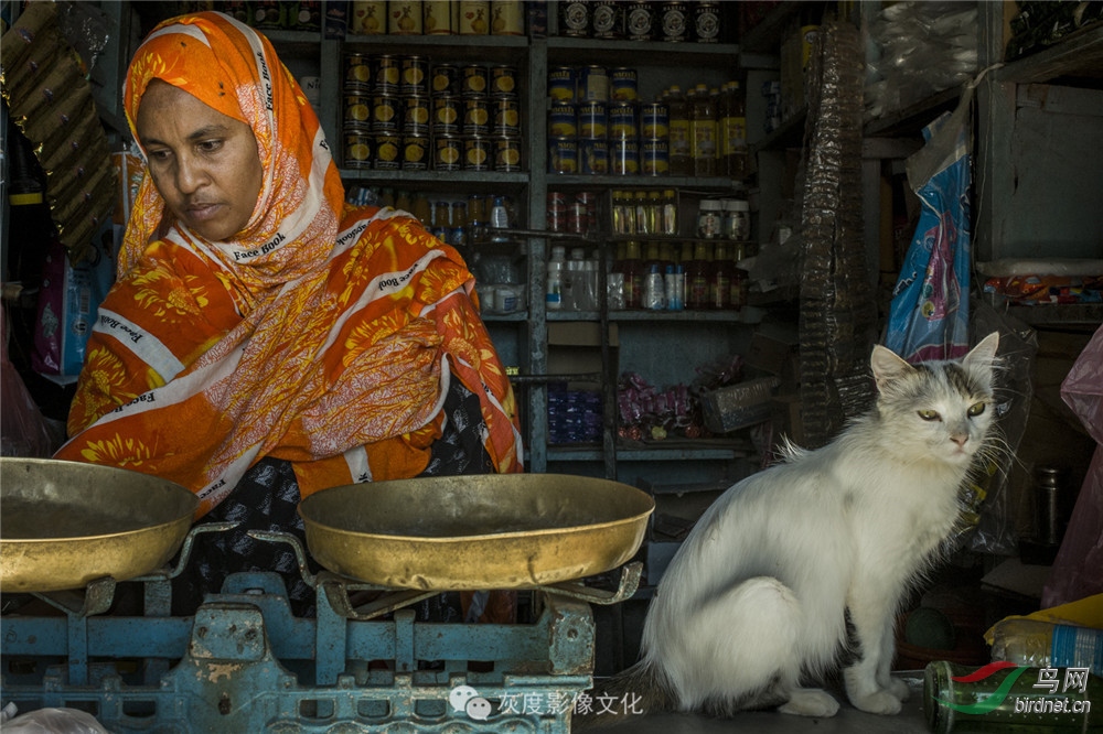 �Ҷ�Ӱ���Ա��־����Ӱʦ��Ʒ