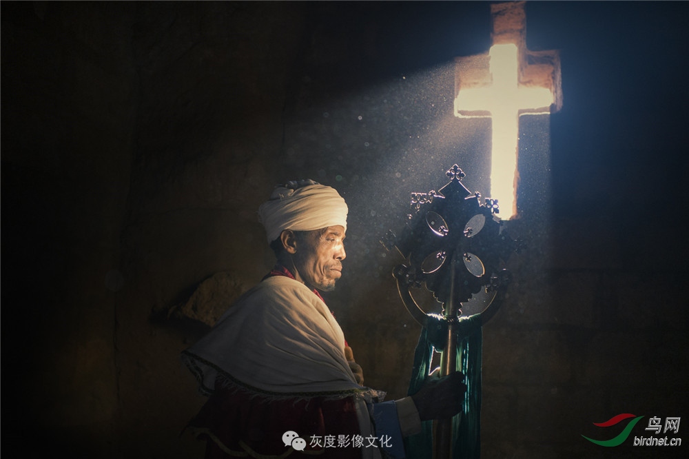 �Ҷ�Ӱ�� ��־��