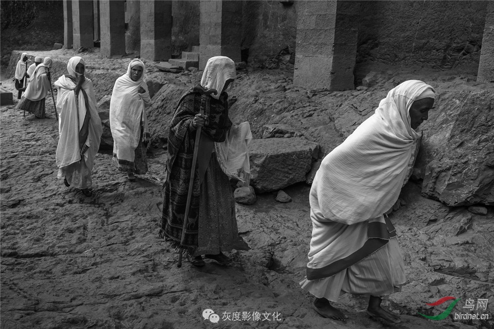 �Ҷ�Ӱ�� ��־��