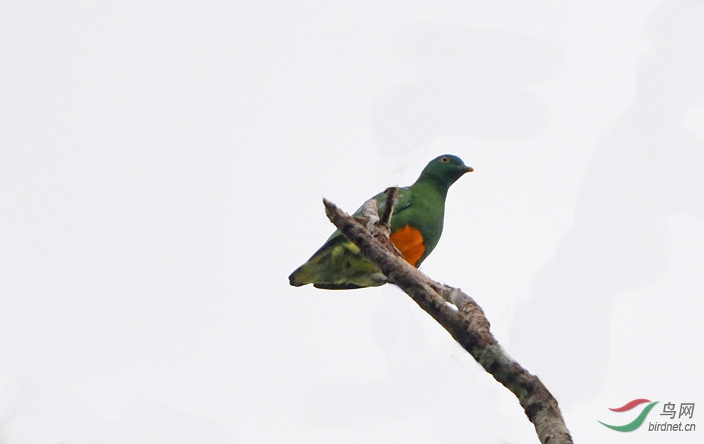 19��8��ӡ�������ɹ�B002 (43).JPG