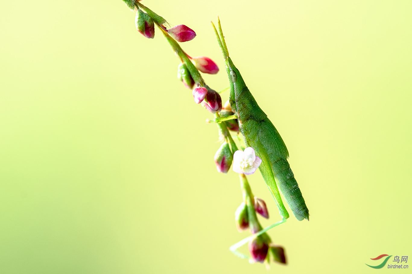 _DSC6182.2.jpg