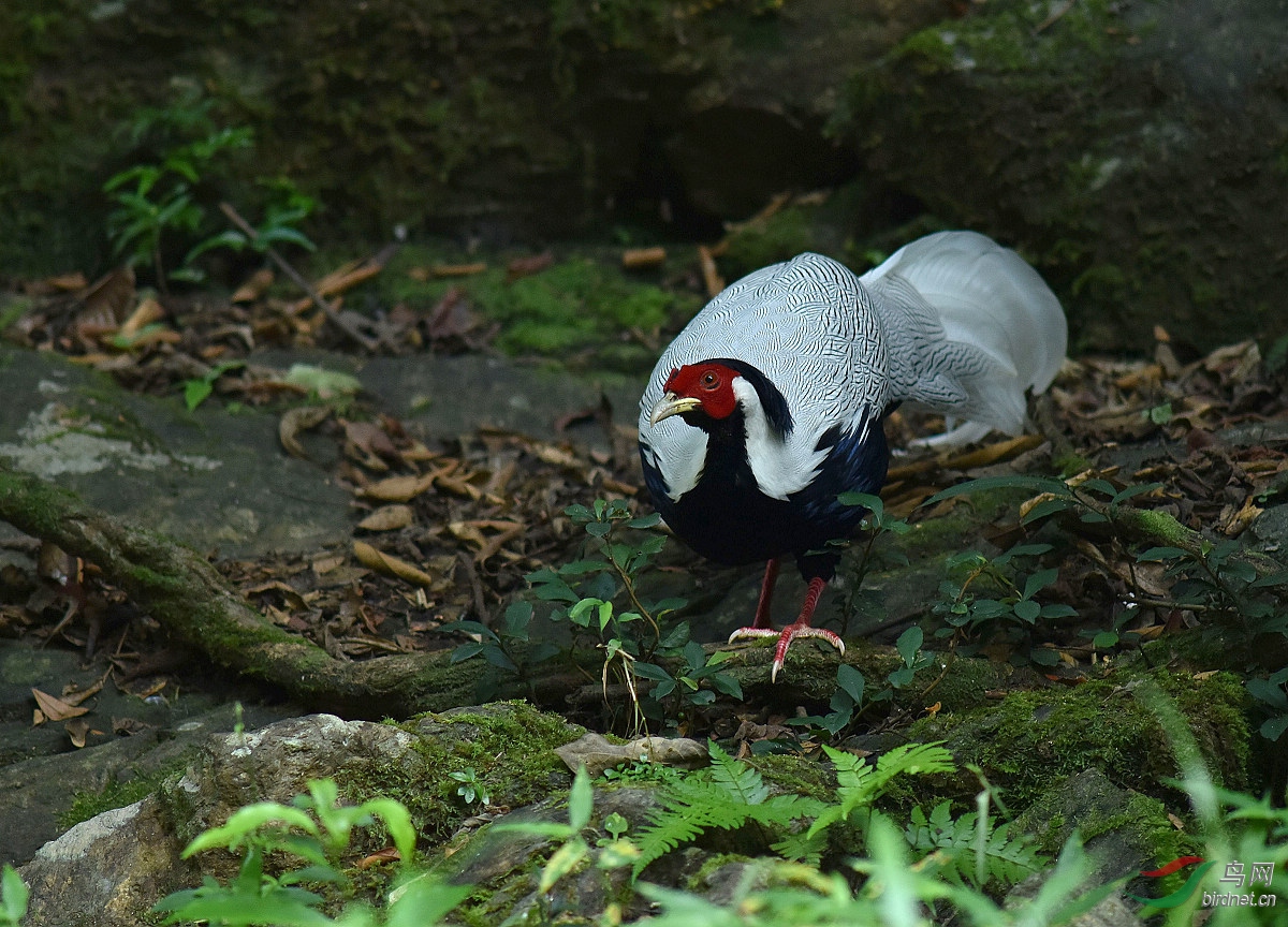 D8I_3482.jpg