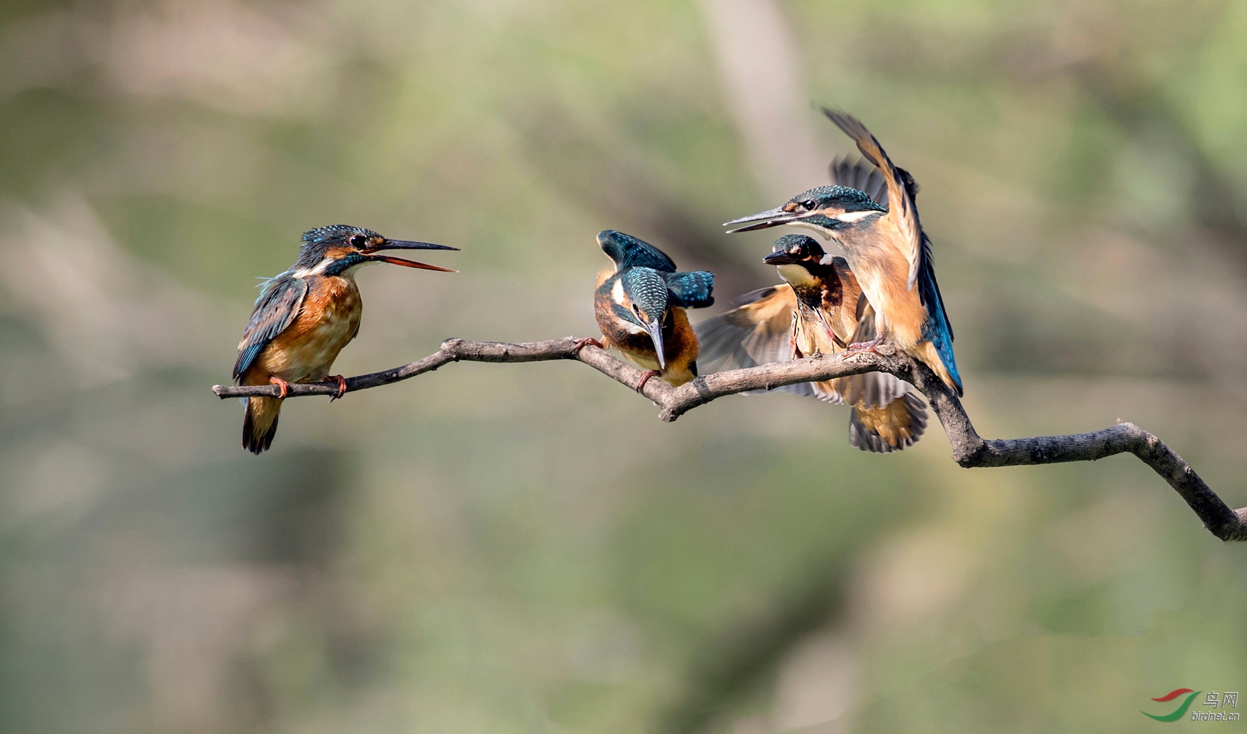 CI5A8628 - ���� - ���� - ���� - ���� - ����.jpg