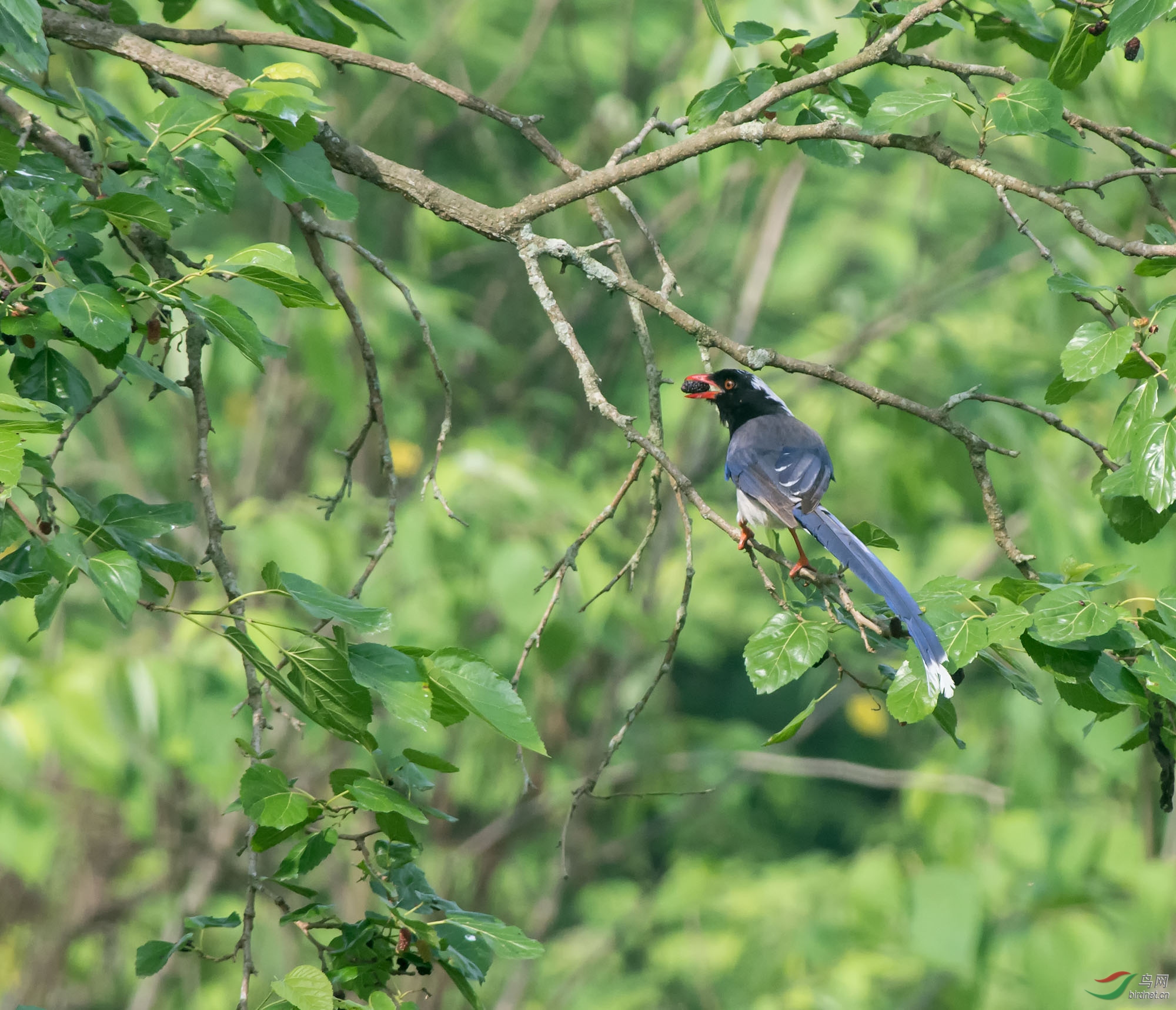 DSC_5298.jpg