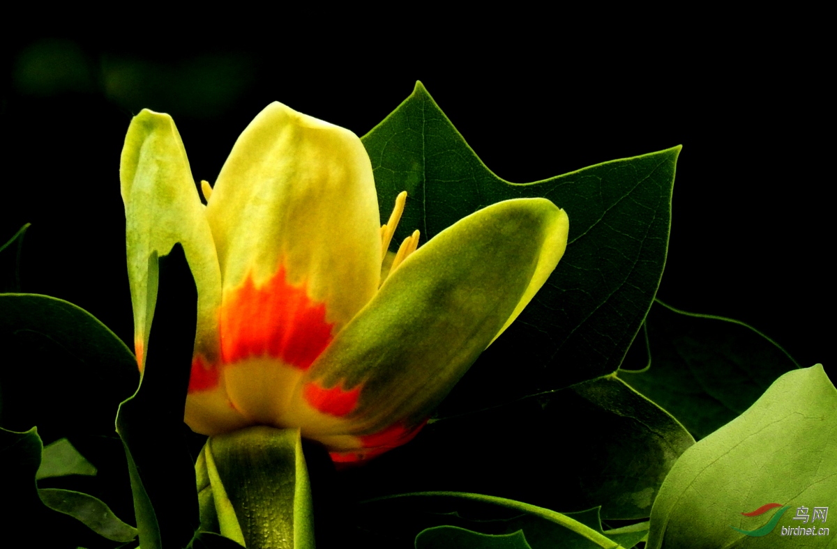 DSCN2396.JPG