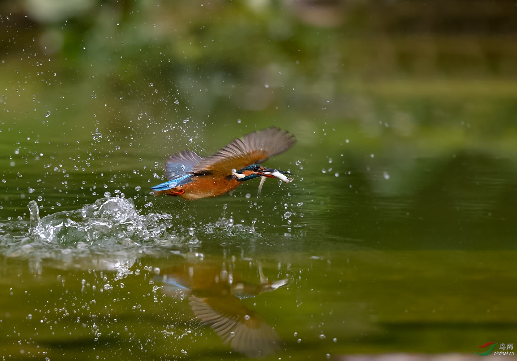 DSC_2026.jpg