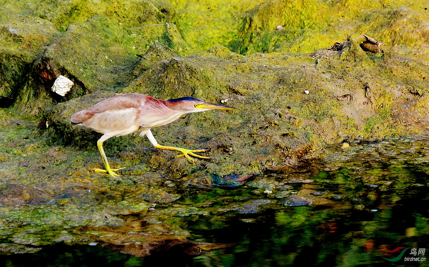 DSC_6540.JPG