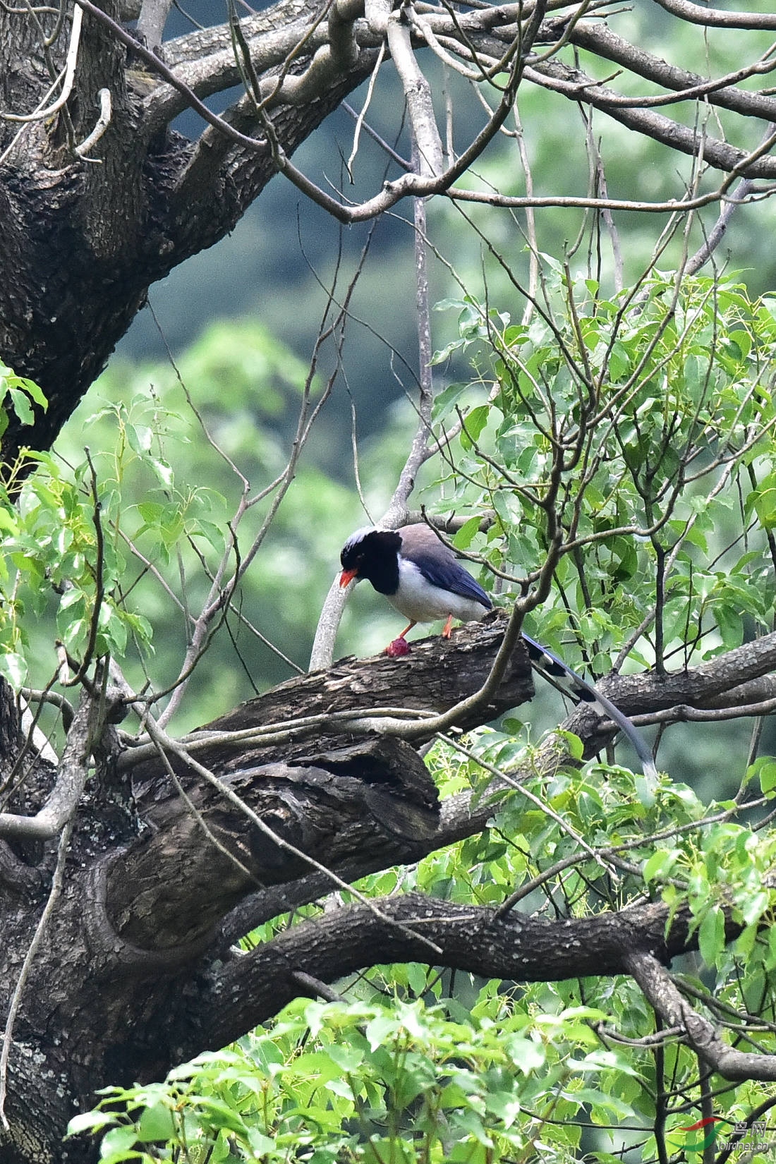 DSC_0253.JPG
