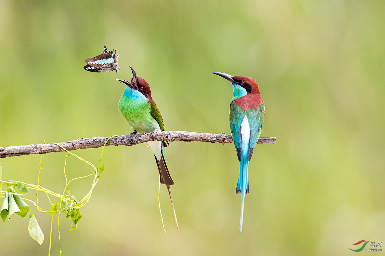 HS021701 ����.jpg