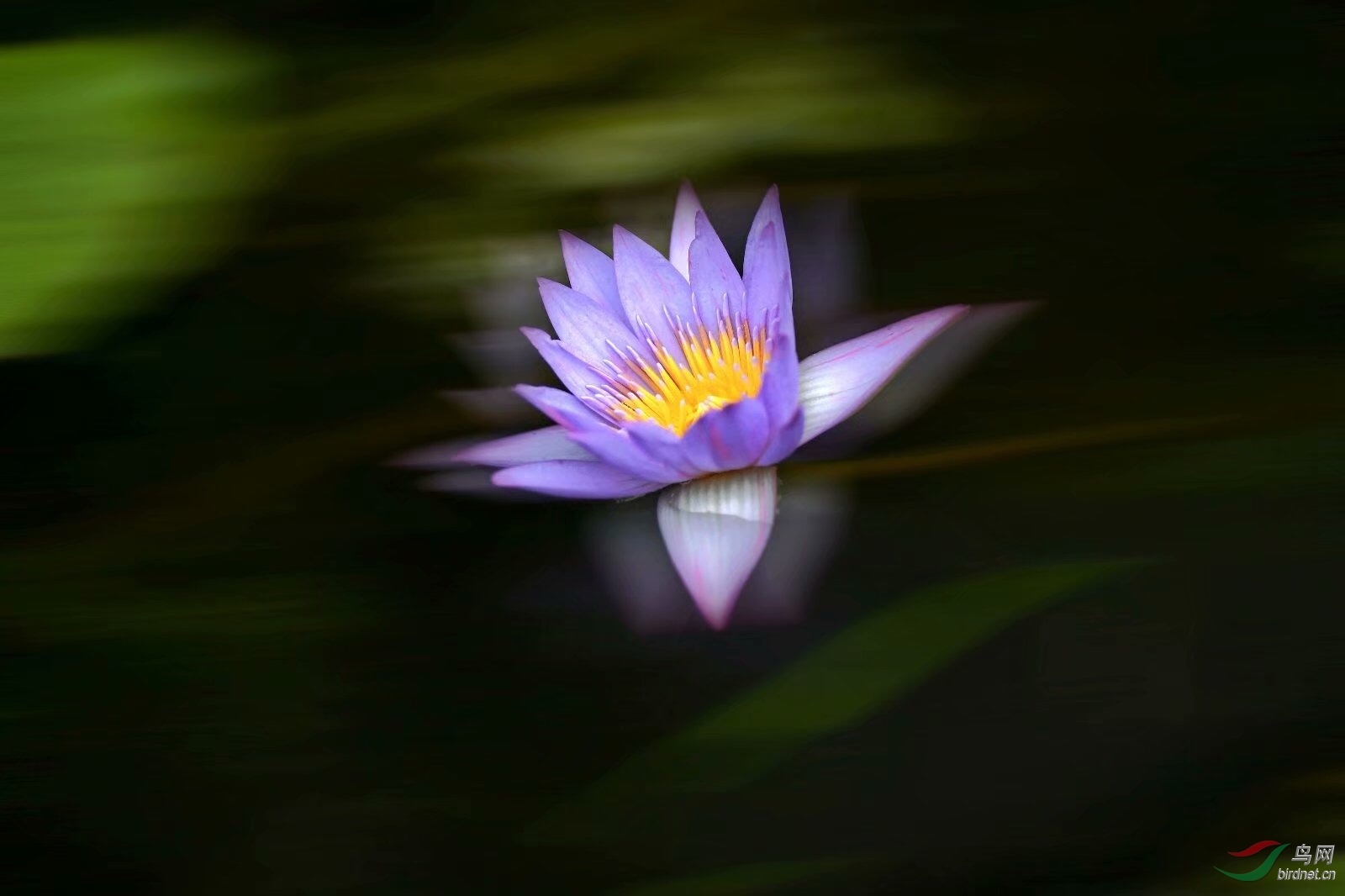 5D548ED4-1C48-430A-B34A-EF66C0774B52.jpeg