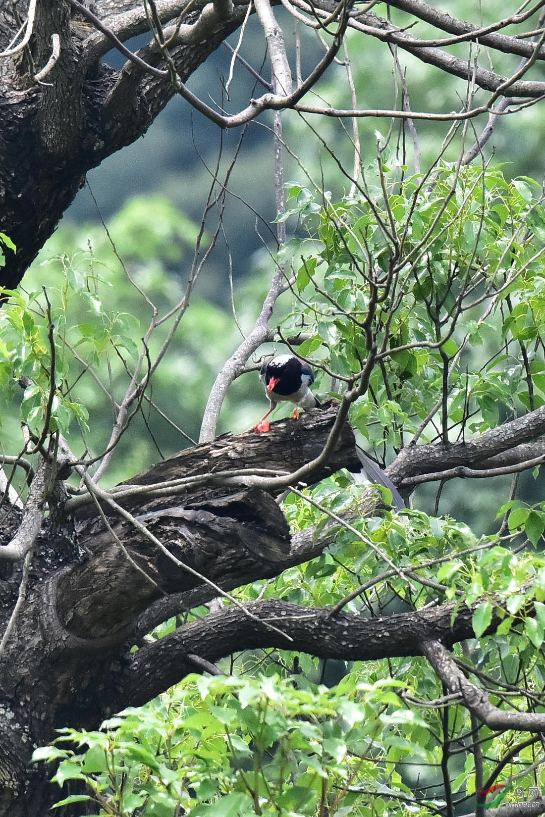 DSC_0256.JPG