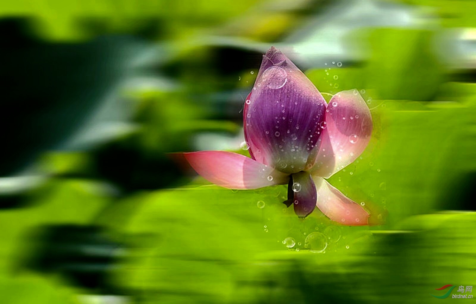 D503FF28-EF0F-4AAF-A216-DD4D084D58D5.jpeg