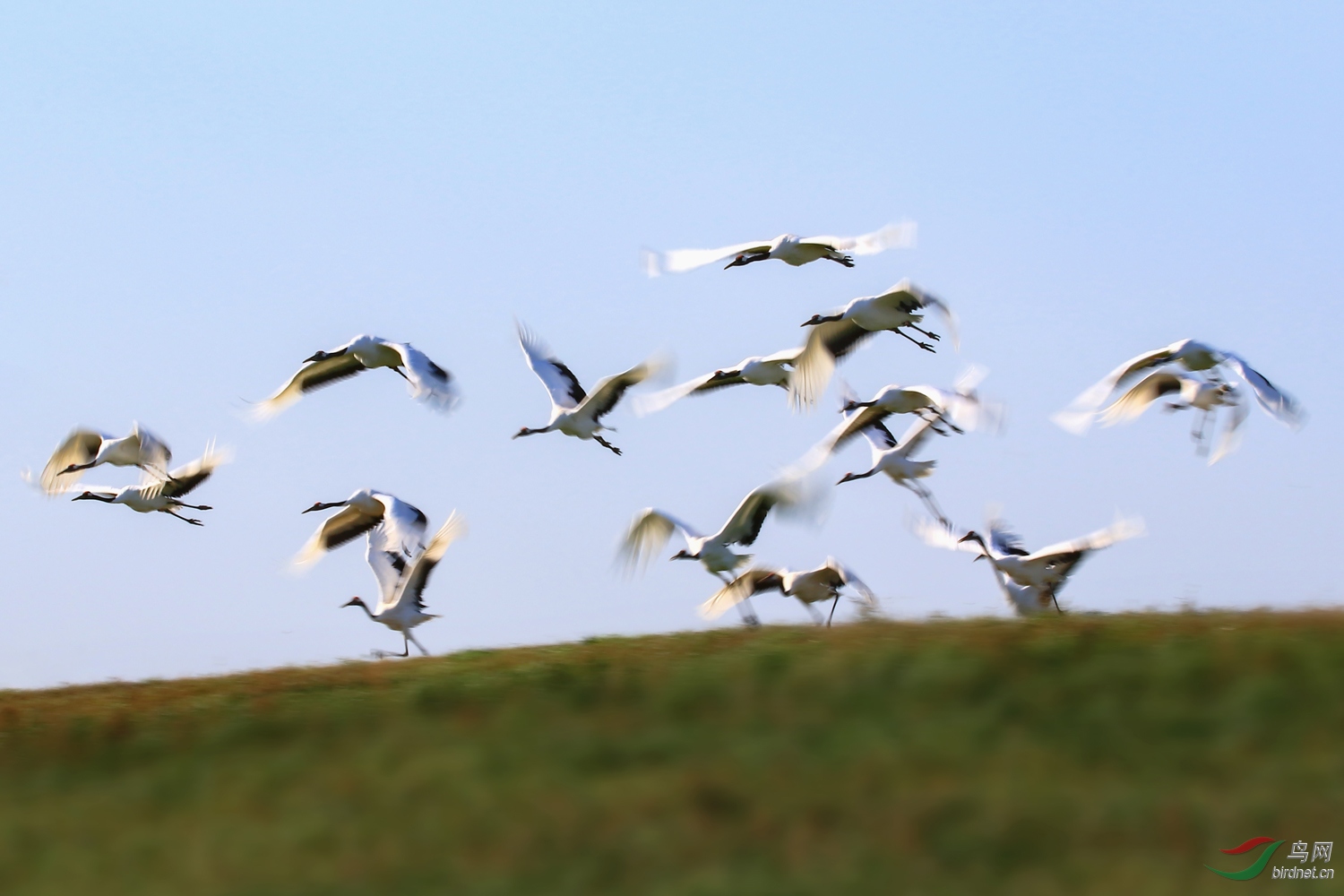 �������ɺ�