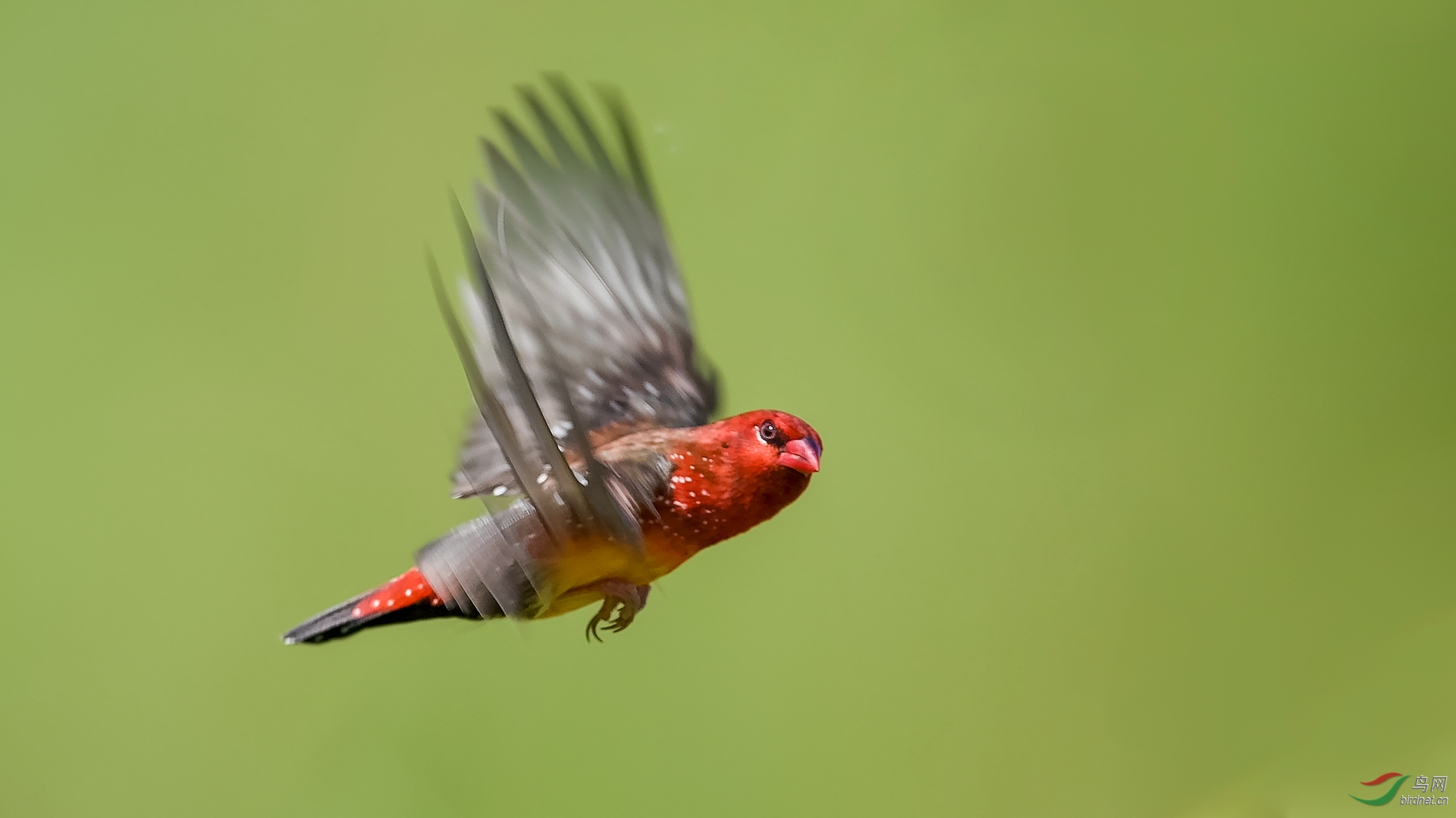 DSC_9318-1.jpg