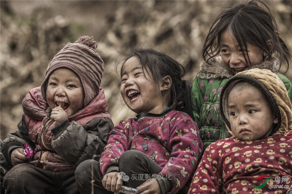 �Ҷ�Ӱ����ֲ���������Ӱʦ��Ʒ