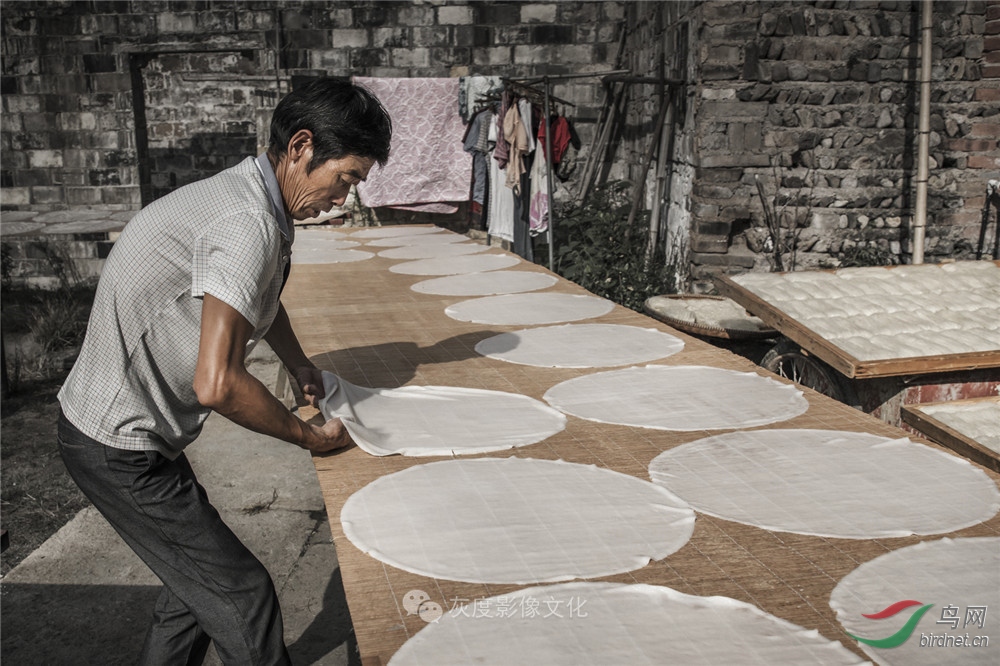 �Ҷ�Ӱ����ֲ���������Ӱʦ��Ʒ