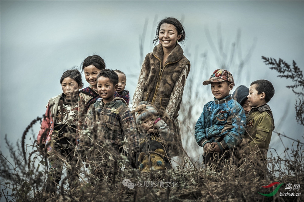 �Ҷ�Ӱ����ֲ���������Ӱʦ��Ʒ