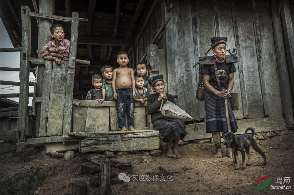 �Ҷ�Ӱ����ֲ���������Ӱʦ��Ʒ