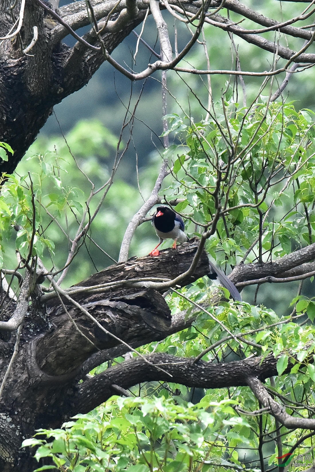 DSC_0257.JPG