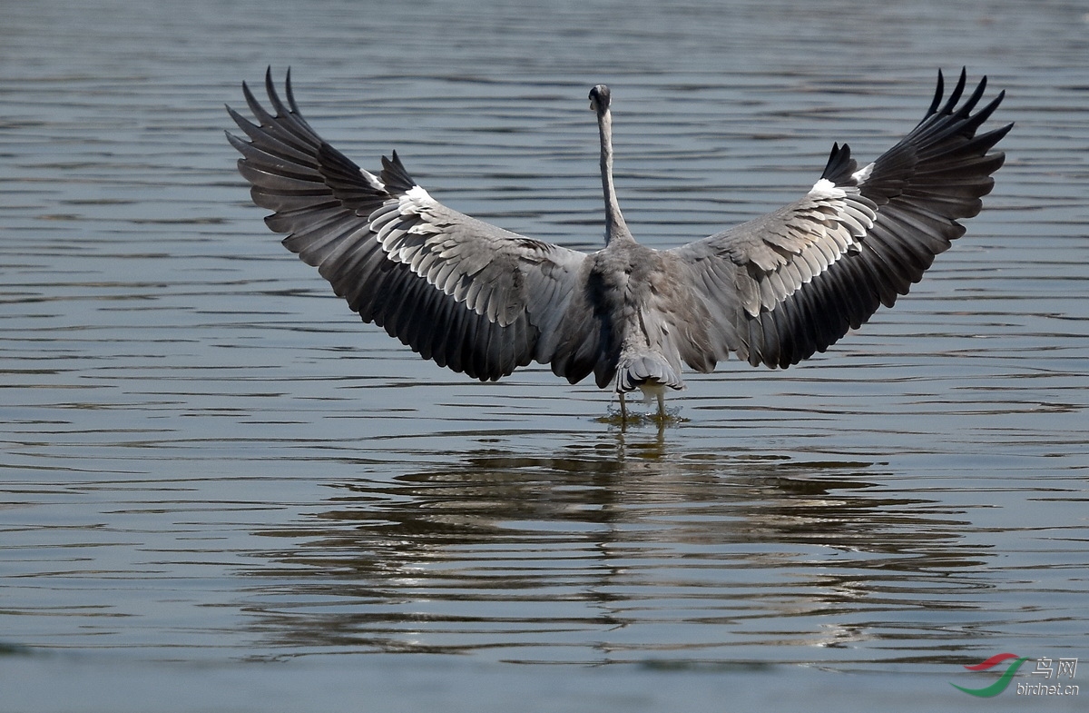 DSC_7925.JPG