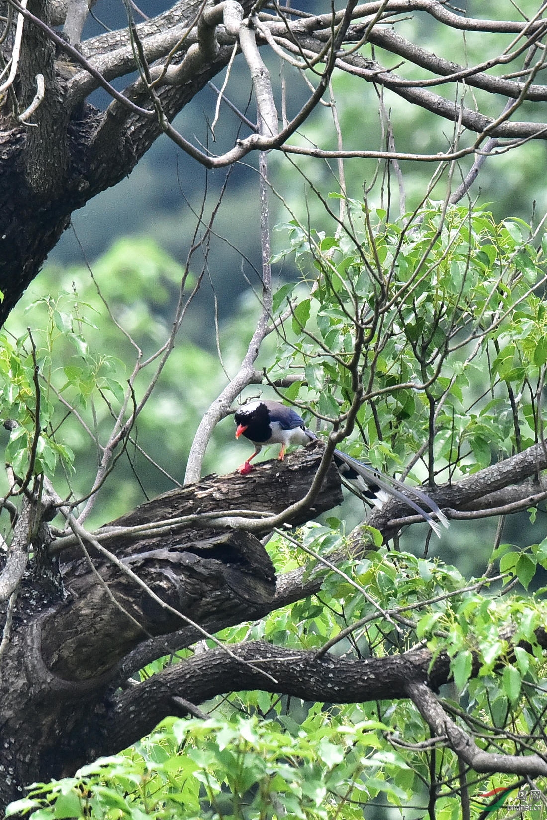 DSC_0260.JPG