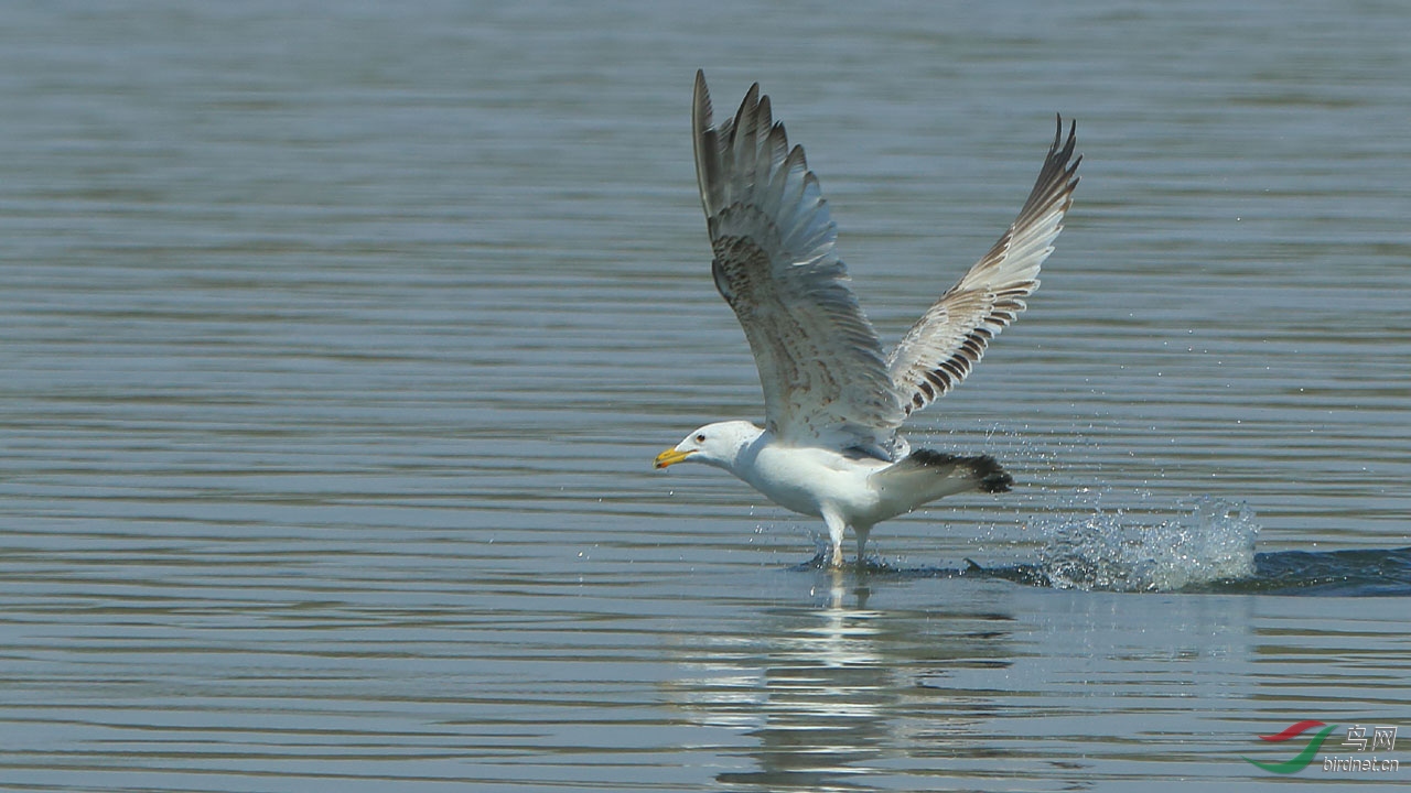 aIMG_3316.JPG