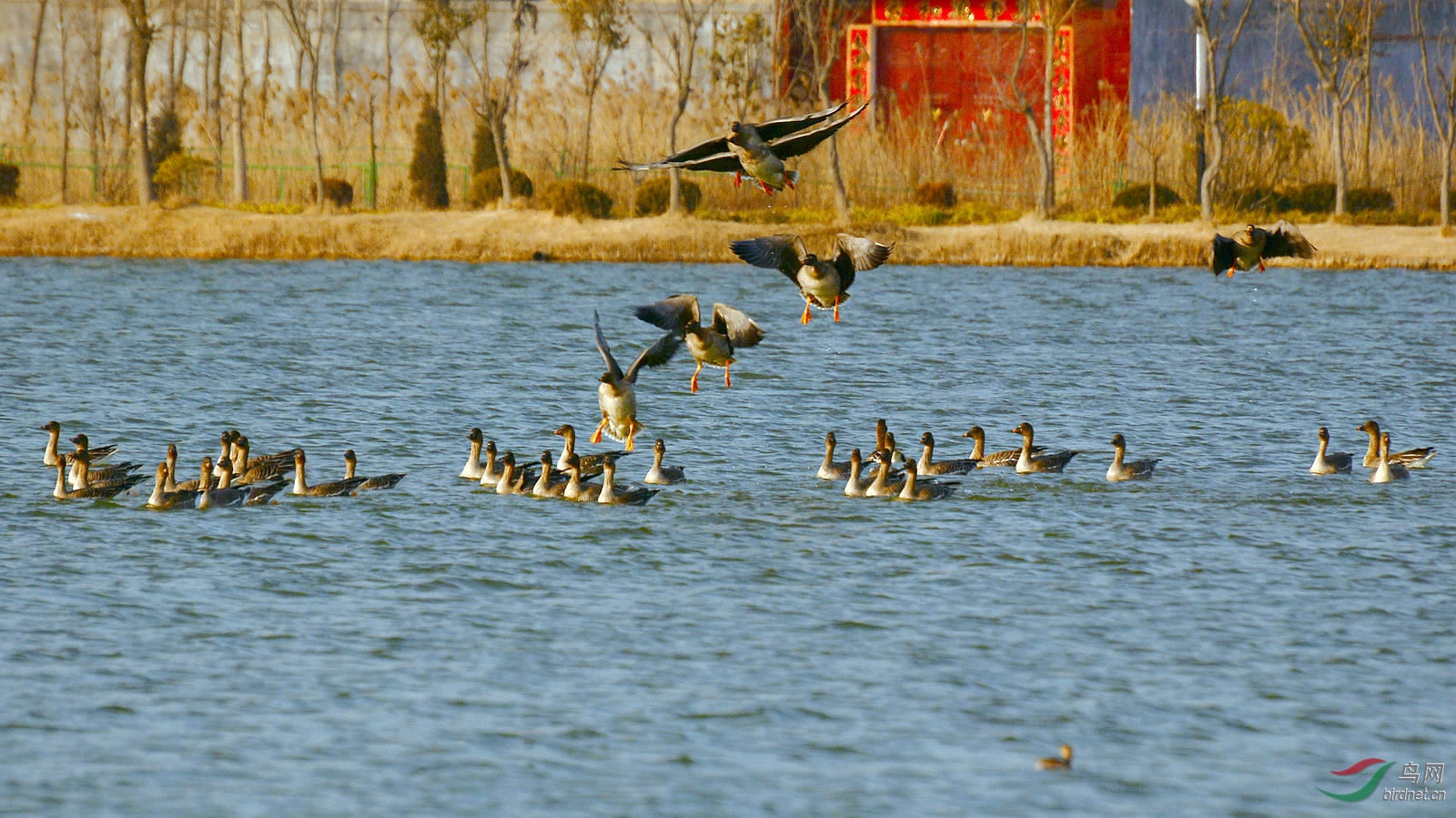 DSC_9534.JPG