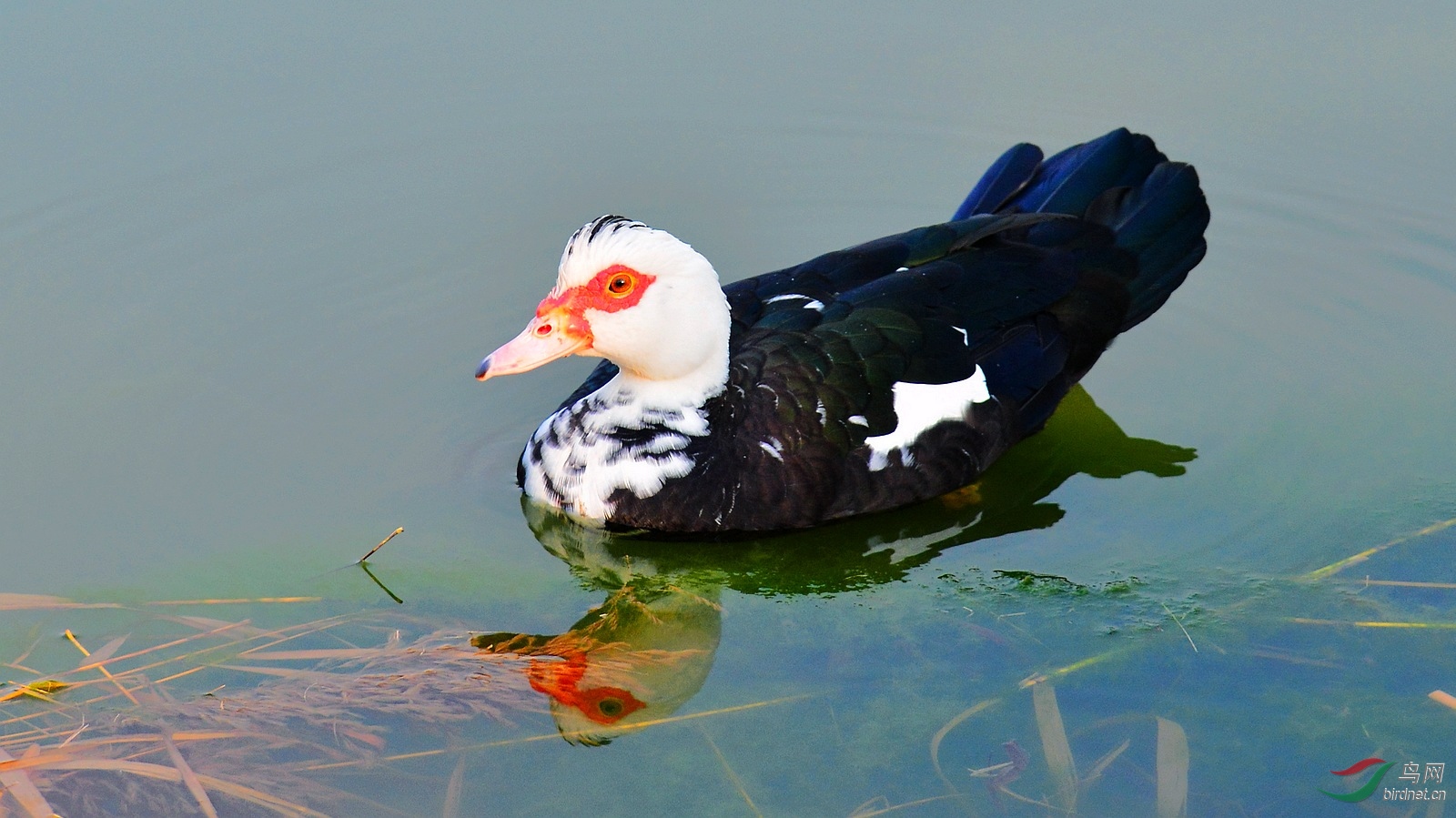 DSC_4047.JPG