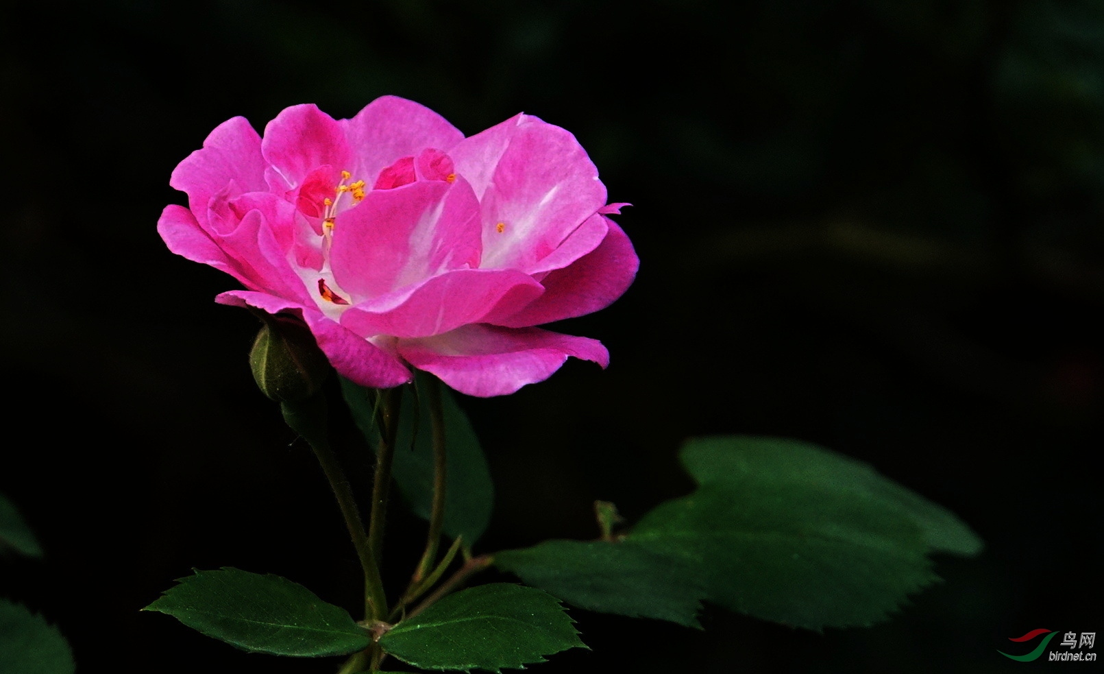 DSC00245.JPG