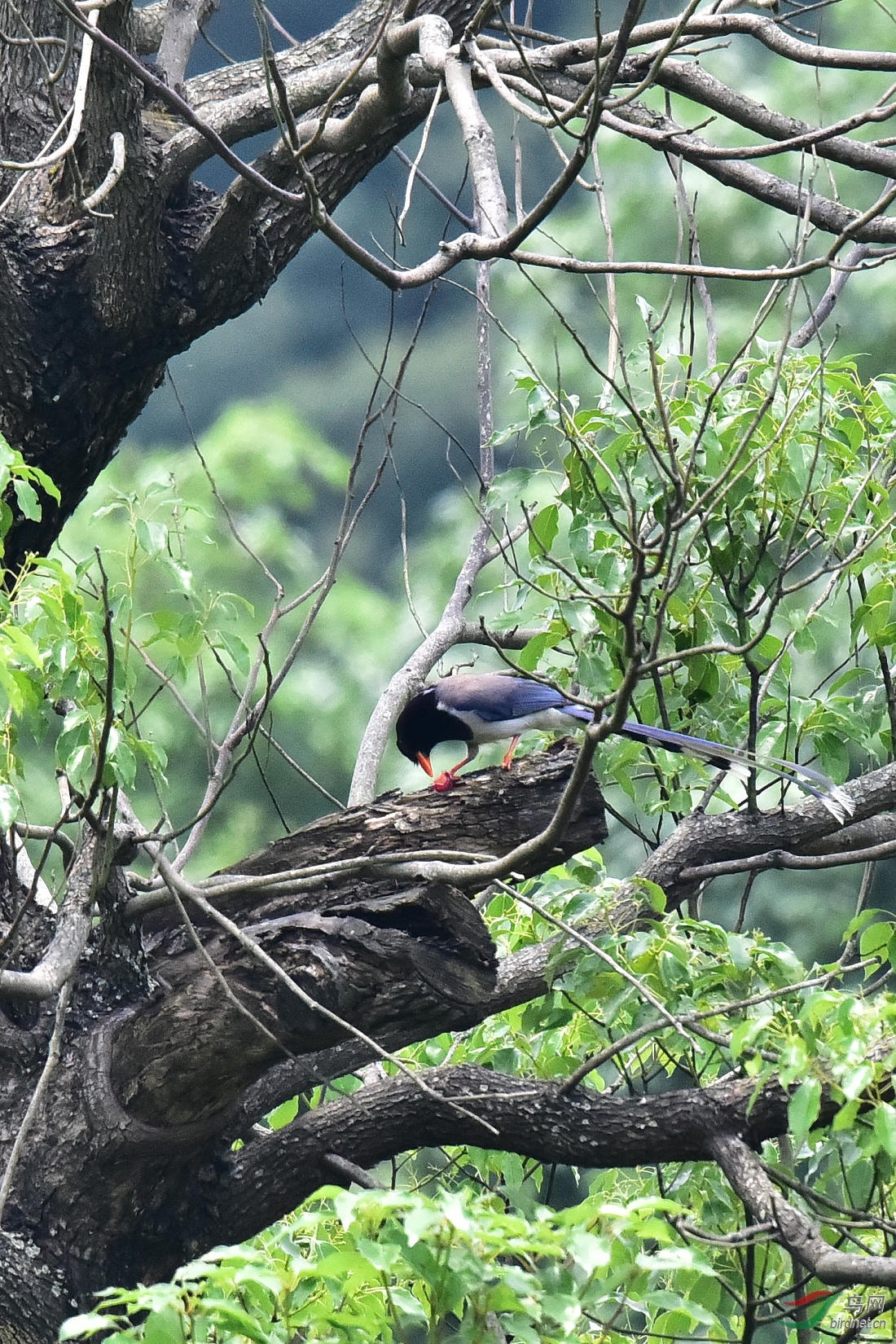 DSC_0261.JPG