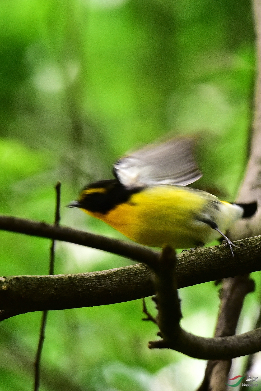 DSC_1033.JPG