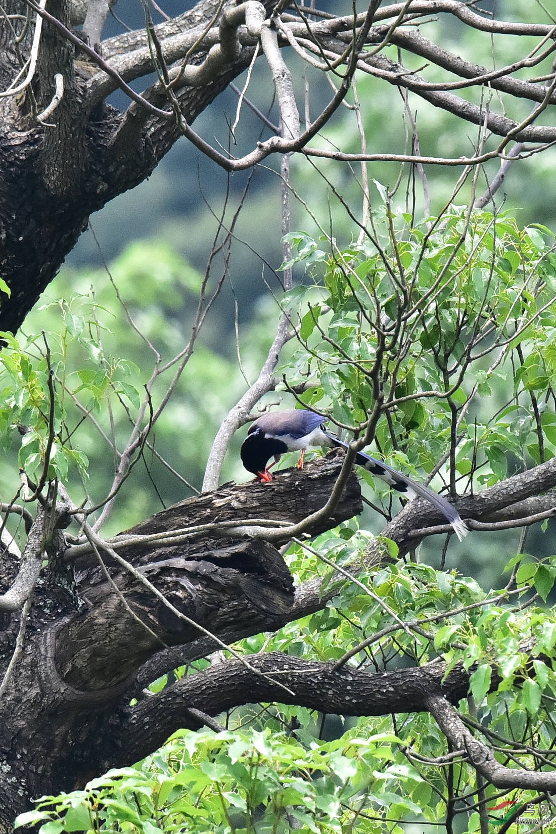 DSC_0266.JPG