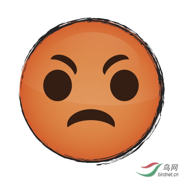 t01ff6e2a3b73ce1067.jpg