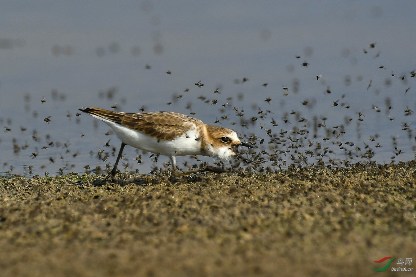 XCG_1945 (2)_����.jpg