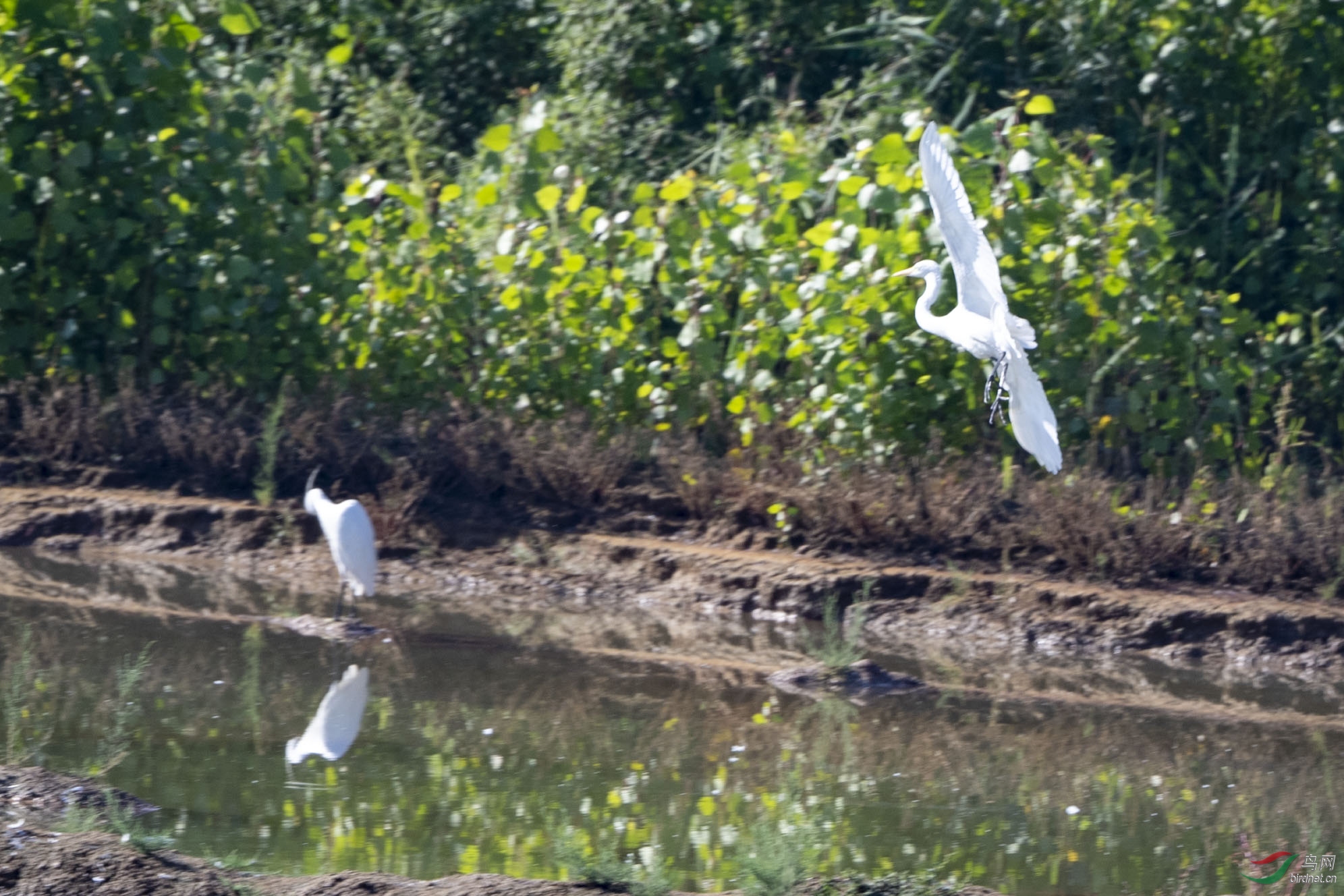 D50_0712.jpg
