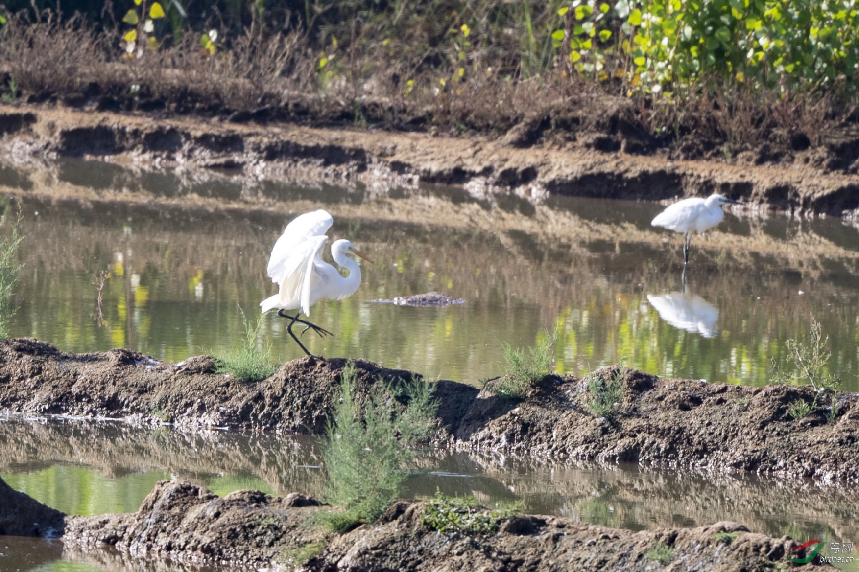 D50_0699.jpg