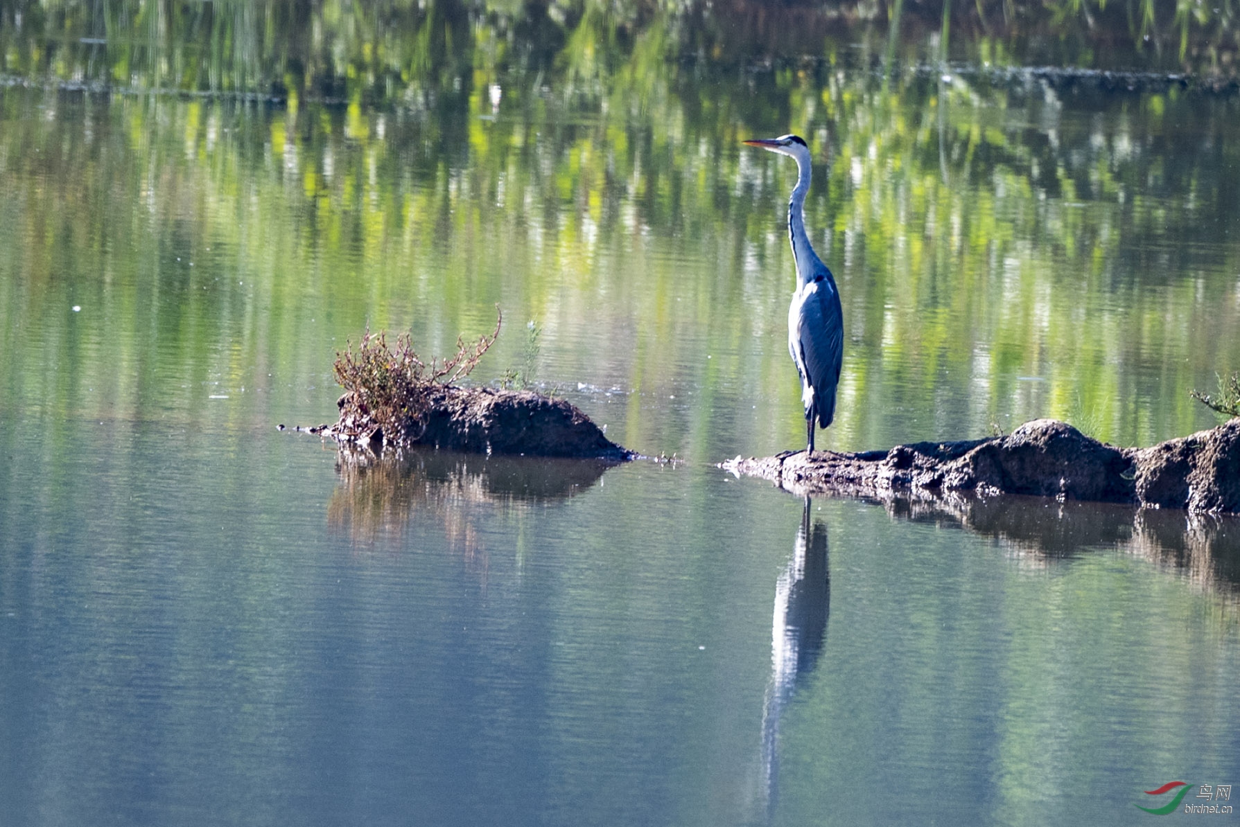 D50_0722.jpg