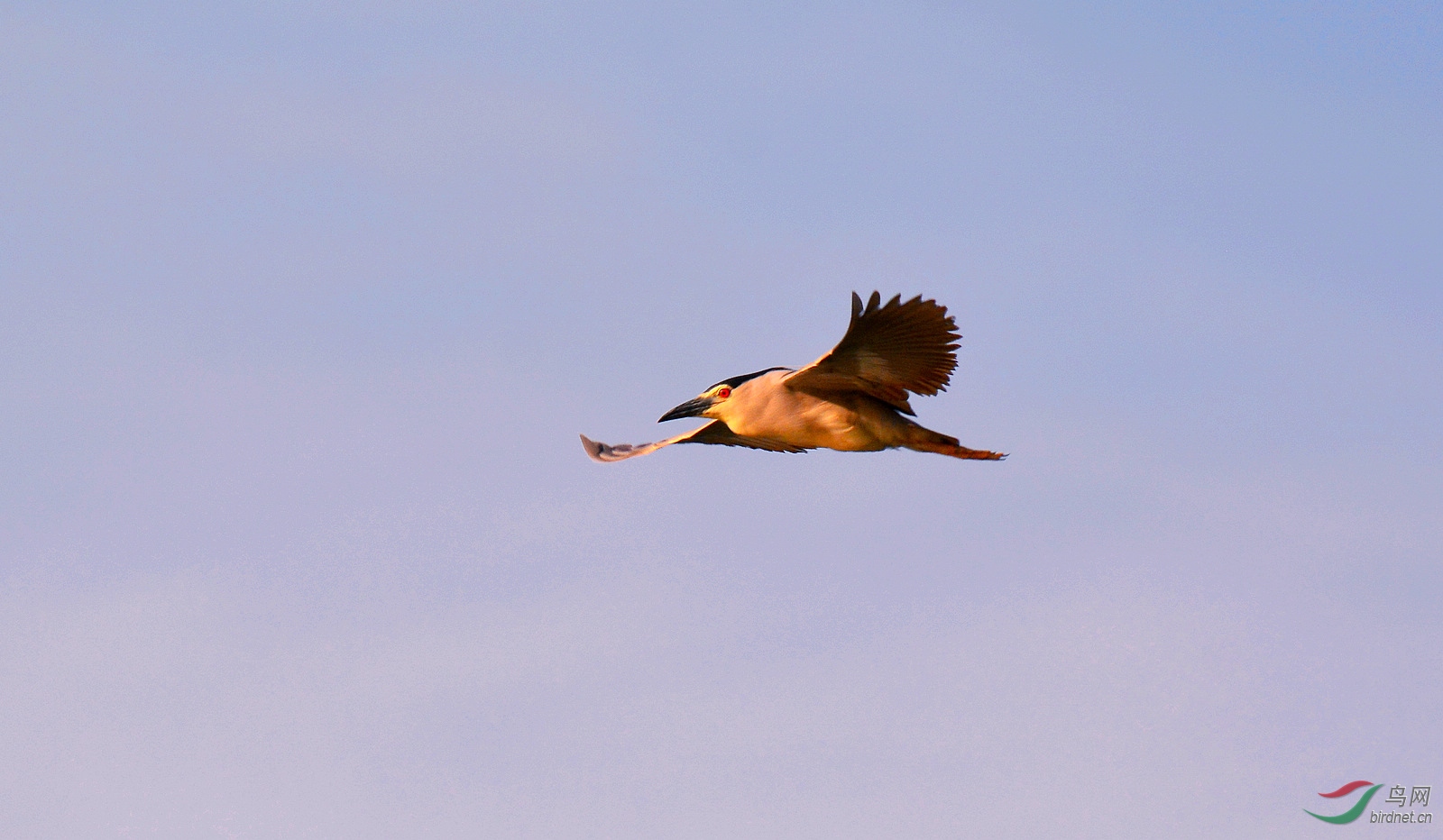 DSC_0804.JPG