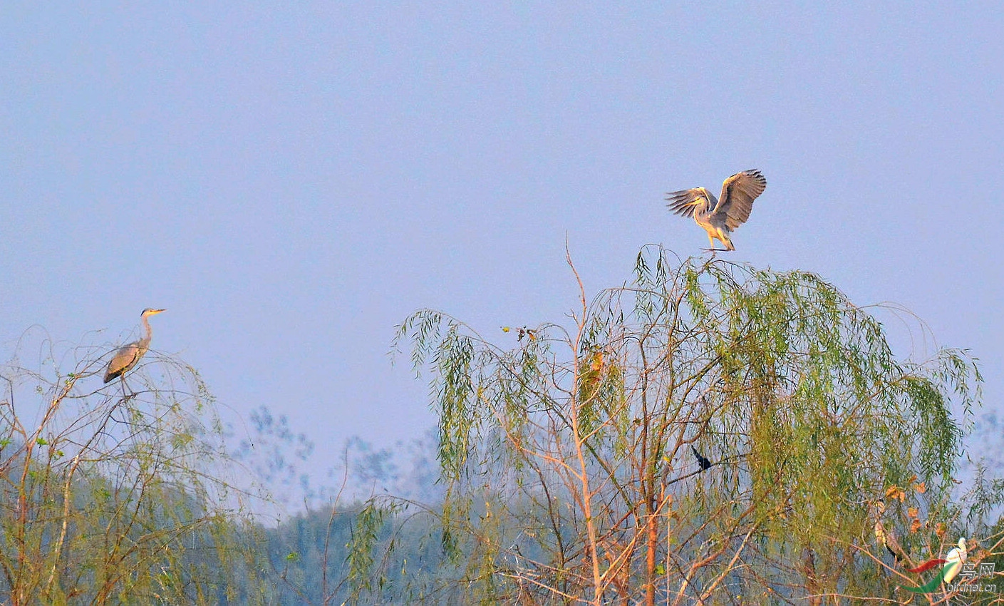 DSC_5514.JPG