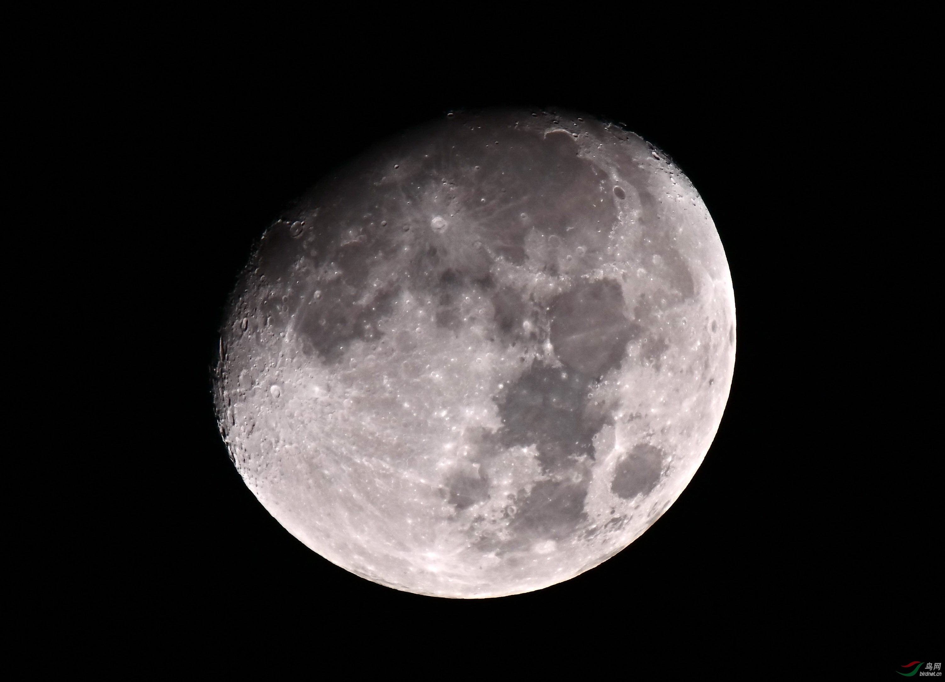 ��������ʮ������