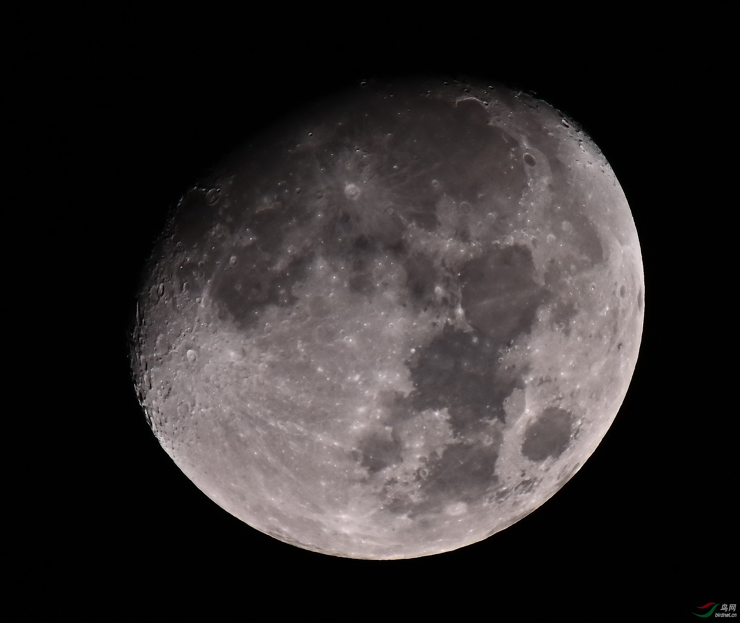 ��������ʮ���¶�