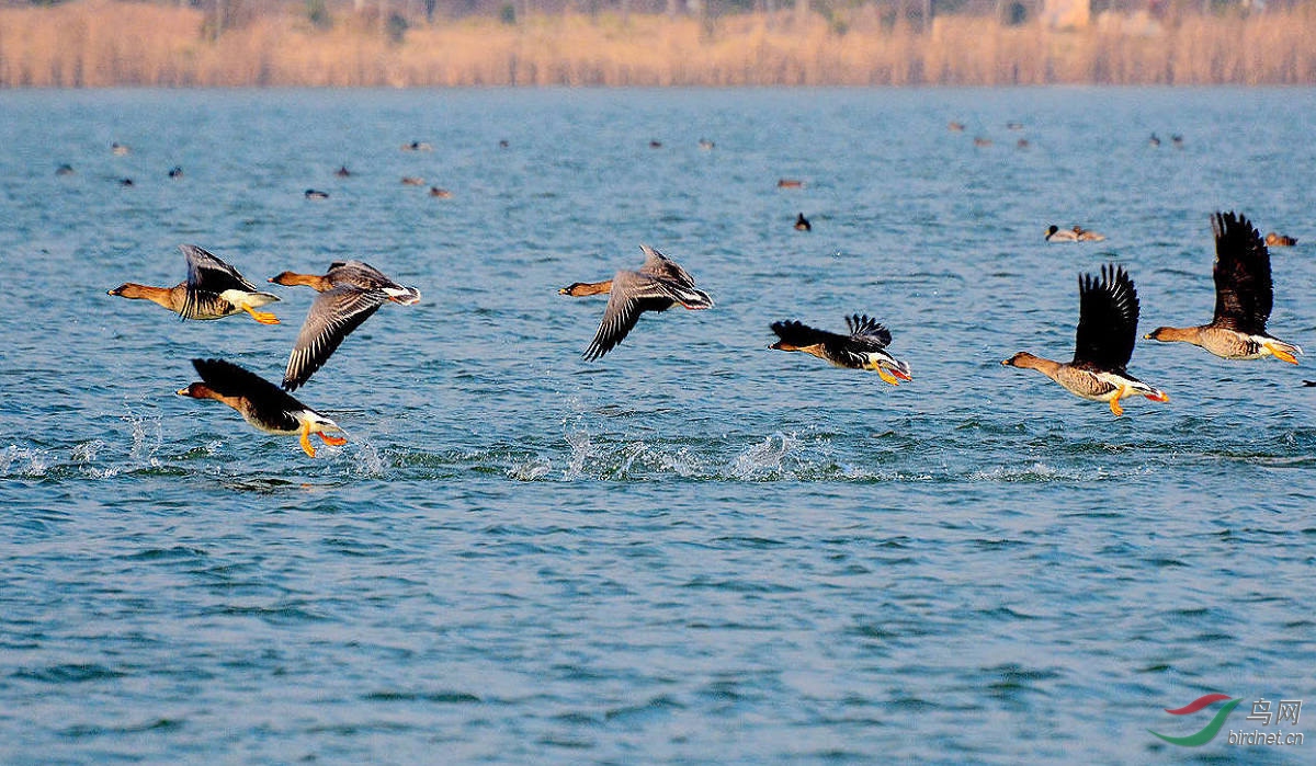 ���� DSC_7173.JPG