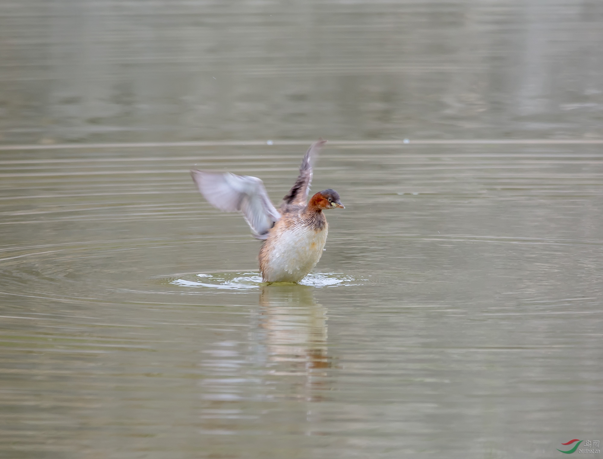 DSC_8823.jpg