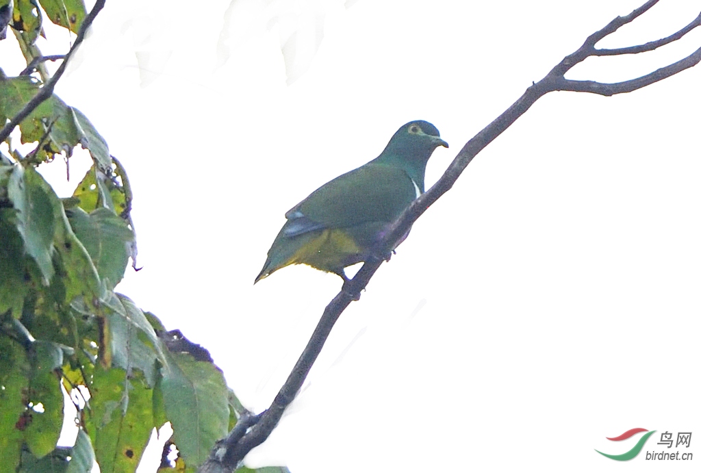 19��8��ӡ�����ͱ��ǿ�002 (587).JPG