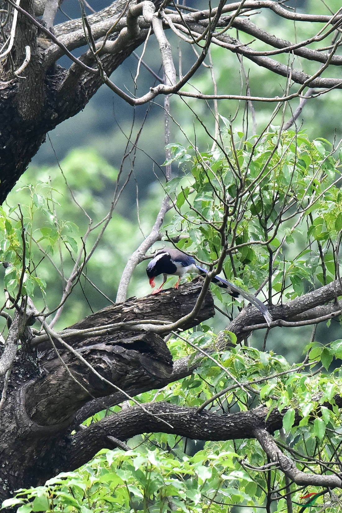 DSC_0270.JPG