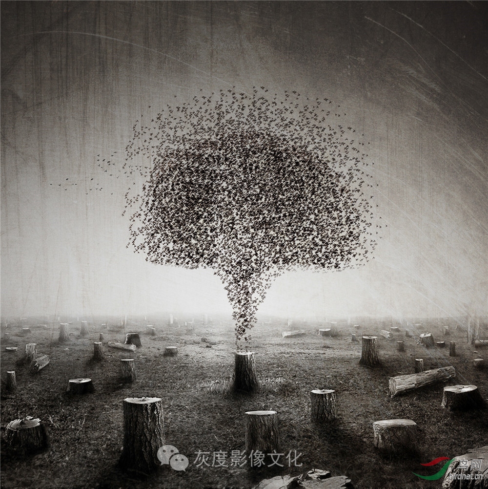 5������֮�񡷻��7�찢����������Ӱ���� δ����  ����.jpg