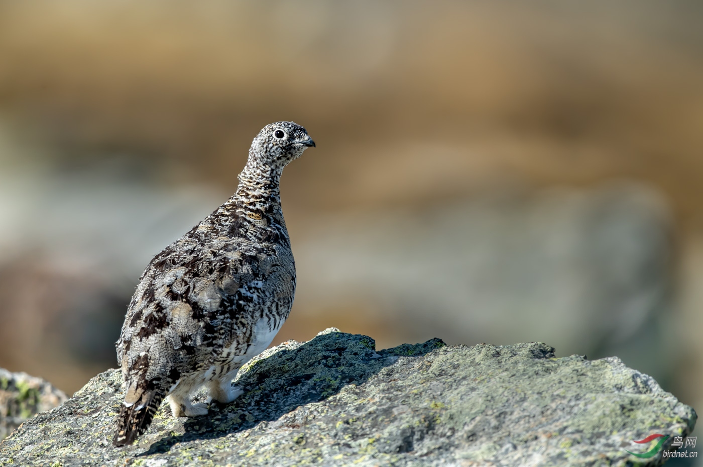 20190911acr40.jpg