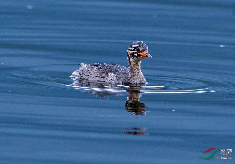 DSC_3142.JPG